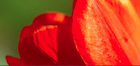 防封号外呼软件