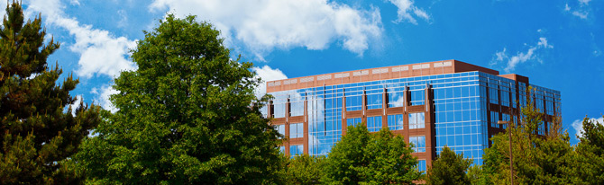 【免安装】便捷的短信呼叫软件