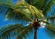 防封号外呼软件